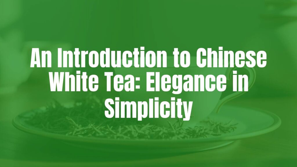 An Introduction to Chinese White Tea: Elegance in Simplicity